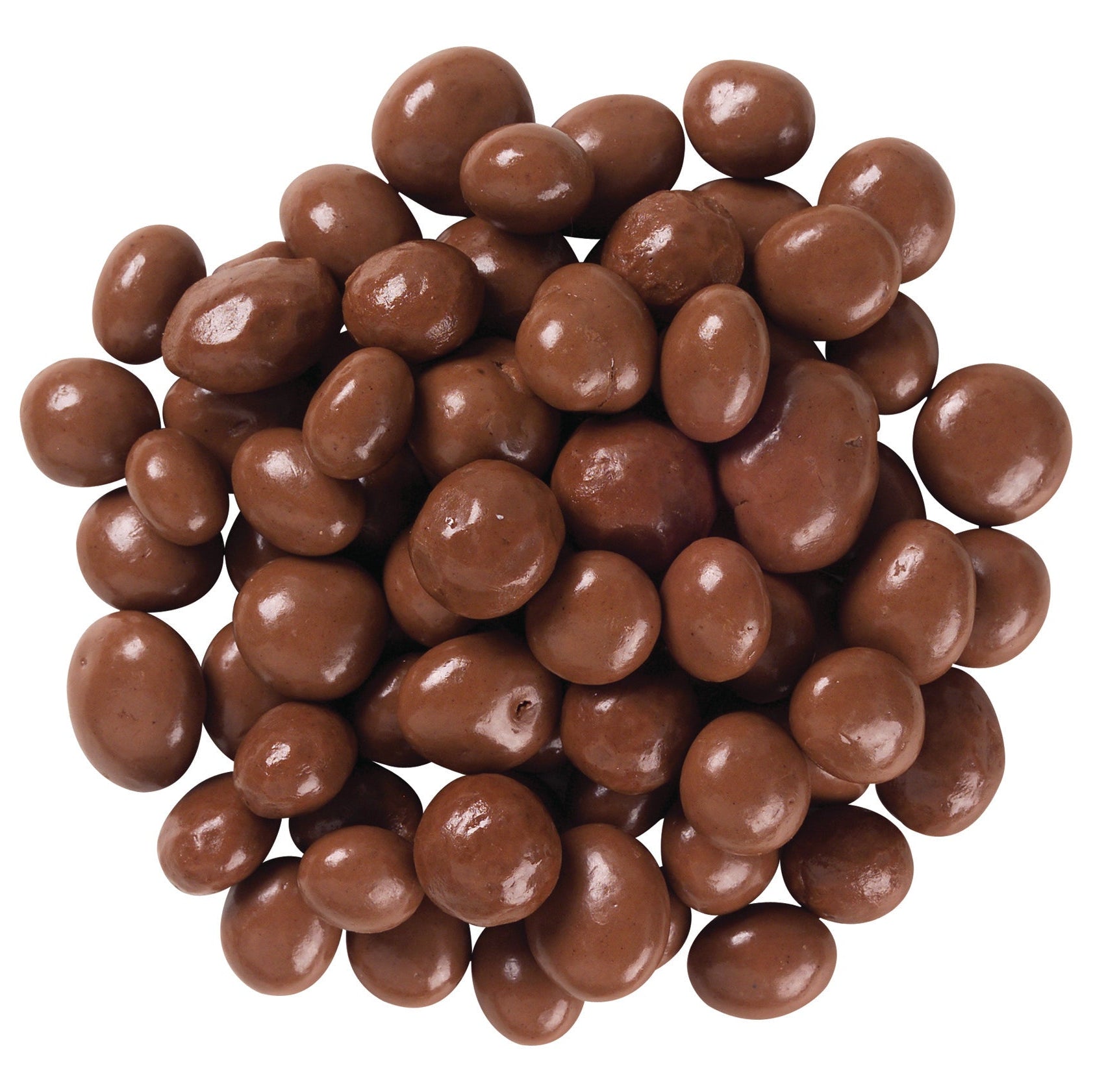Chocolate Covered Raisins