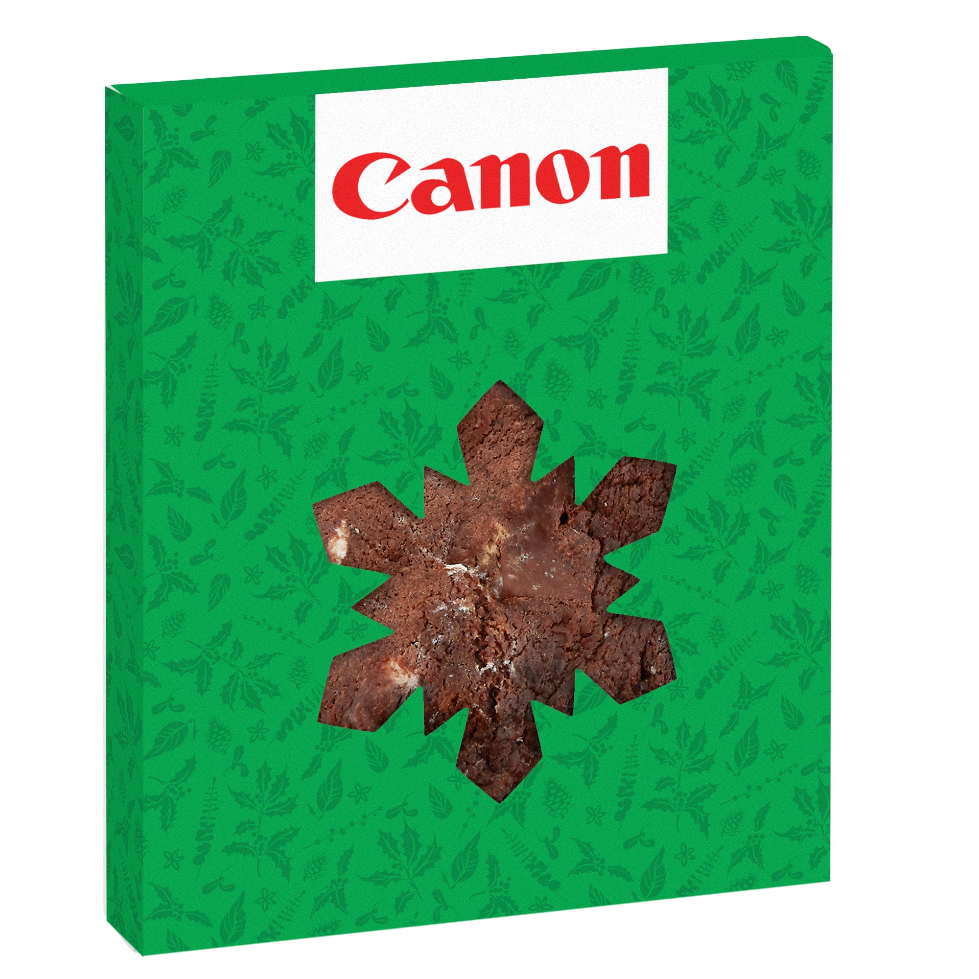 Holiday Window Box with Gourmet Cookie Snowflake / S'mores